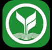 Krungthai bank payment icon with green background